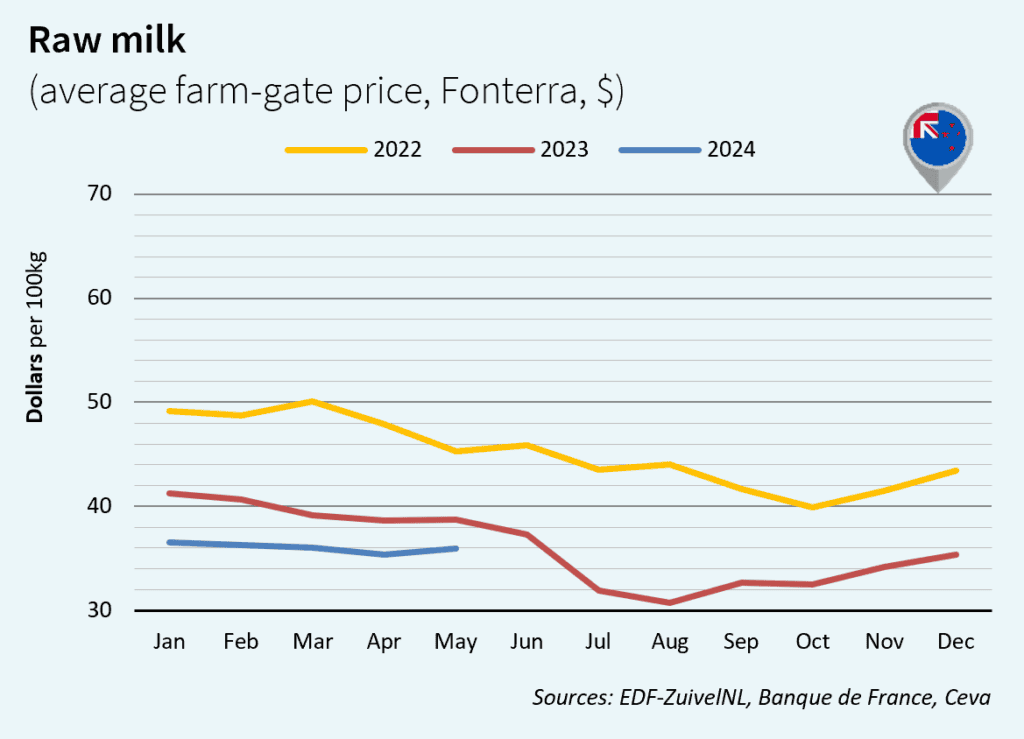 June Milk Market Outlook in New Zealand